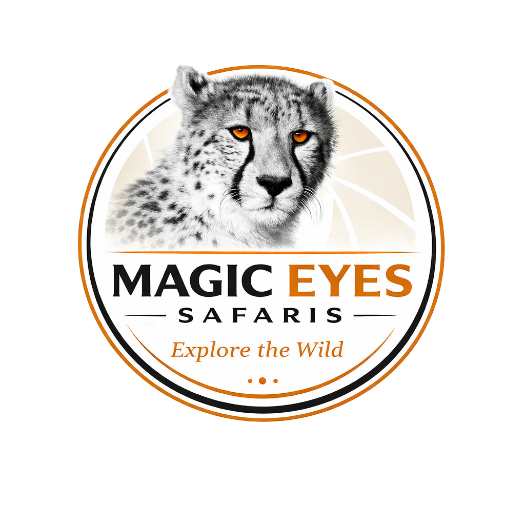 Magiceyessafaris